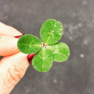 Four leaf clover