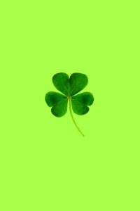 Four leaf clover